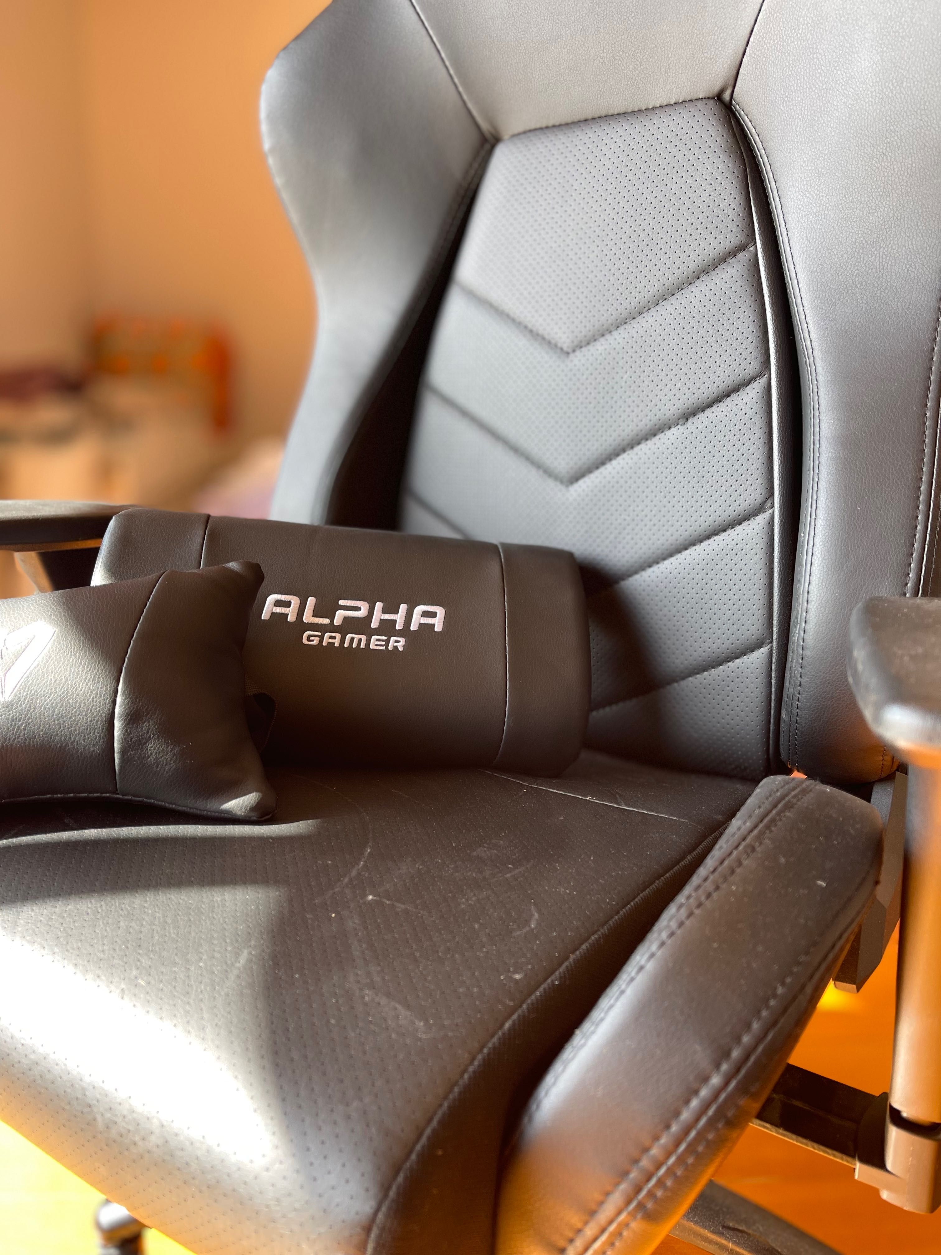 Alpha gamer (como nova)