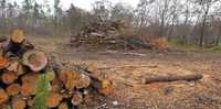 Wycinka drzew lasów czyszczenie działek usuwanie karp altany