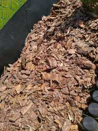 kora sosnowa luzem lub w workach ziemia ogrodowa kompost Dostawa