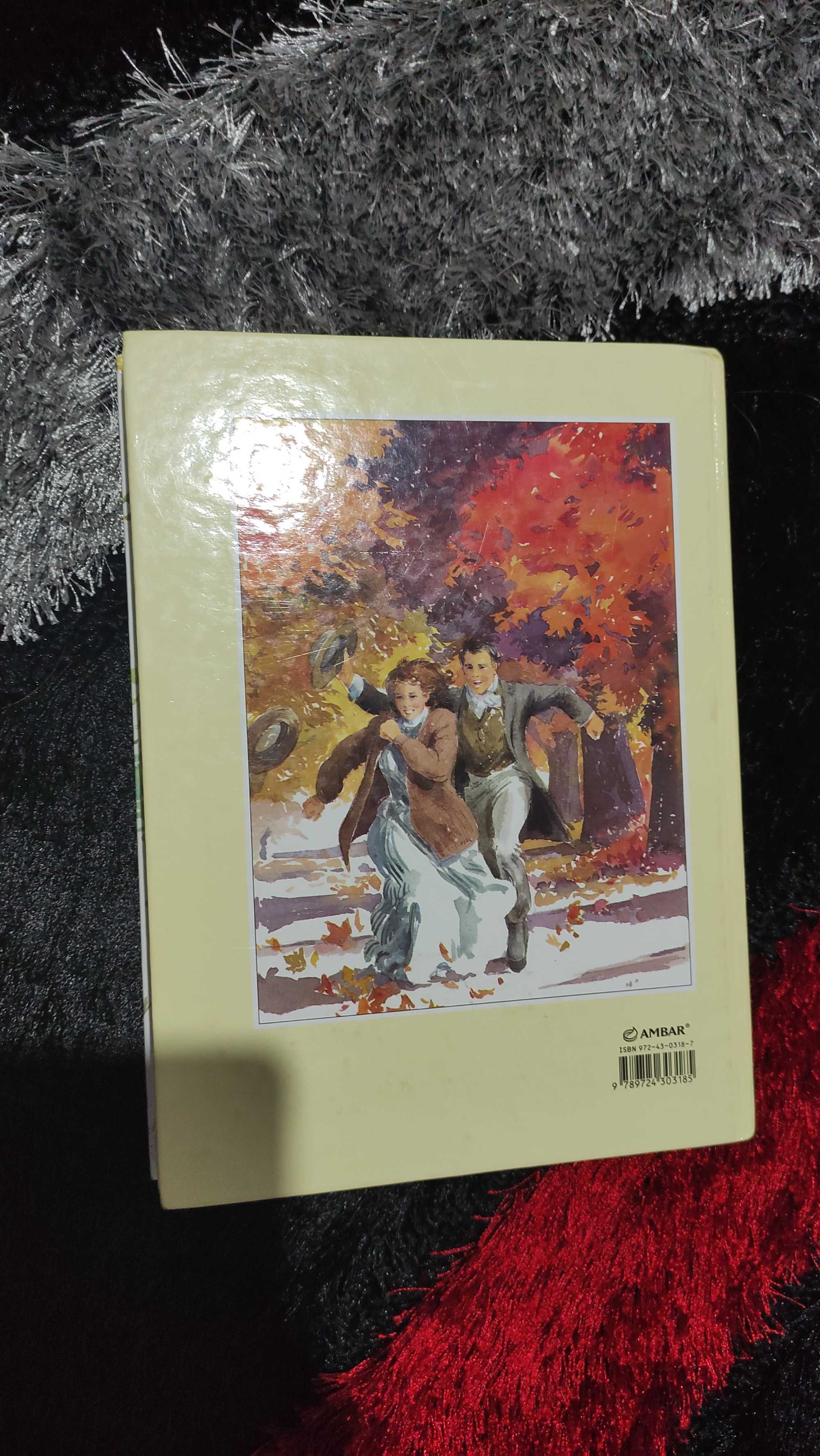2 Livros coleção "Mulherzinhas"