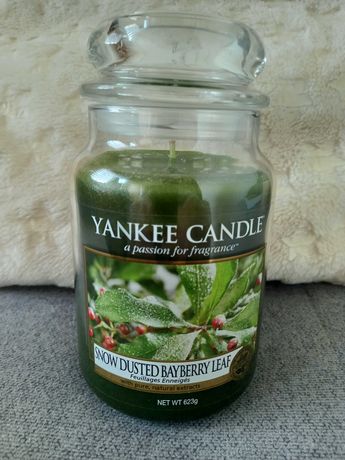 Yankee Candle Snow dusted bayberry leaf duża świeca UNIKAT