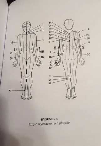 Giuseppe Calligaris Uczeń czarownika kosmos w ludzkim ciele