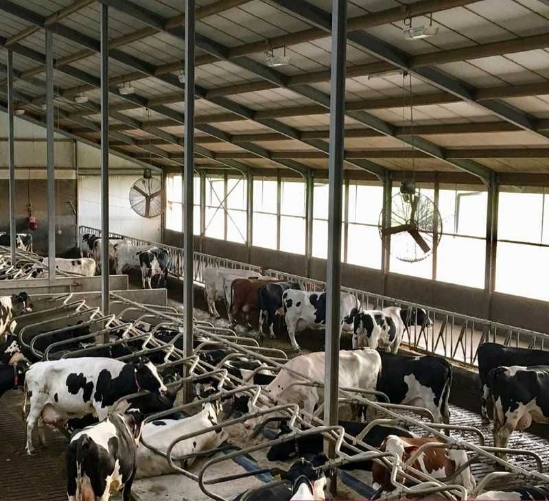 Wentylator mieszacz powietrza KOSZOWY MULTIFAN