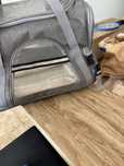 Mala/transportadaora para cão/gato NOVO
