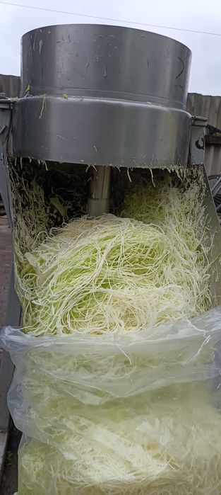 Капуста шаткована, морква.