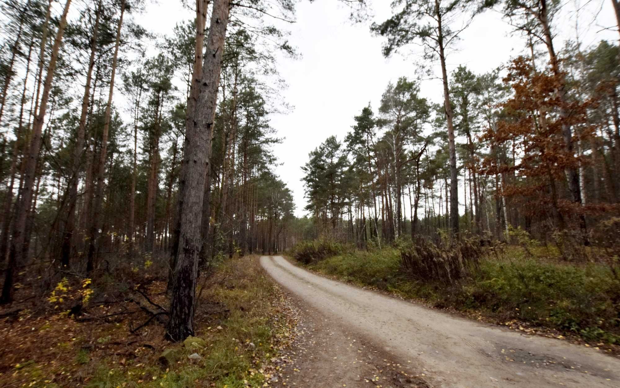 Działka na sprzedaż Osiek nad Wisłą