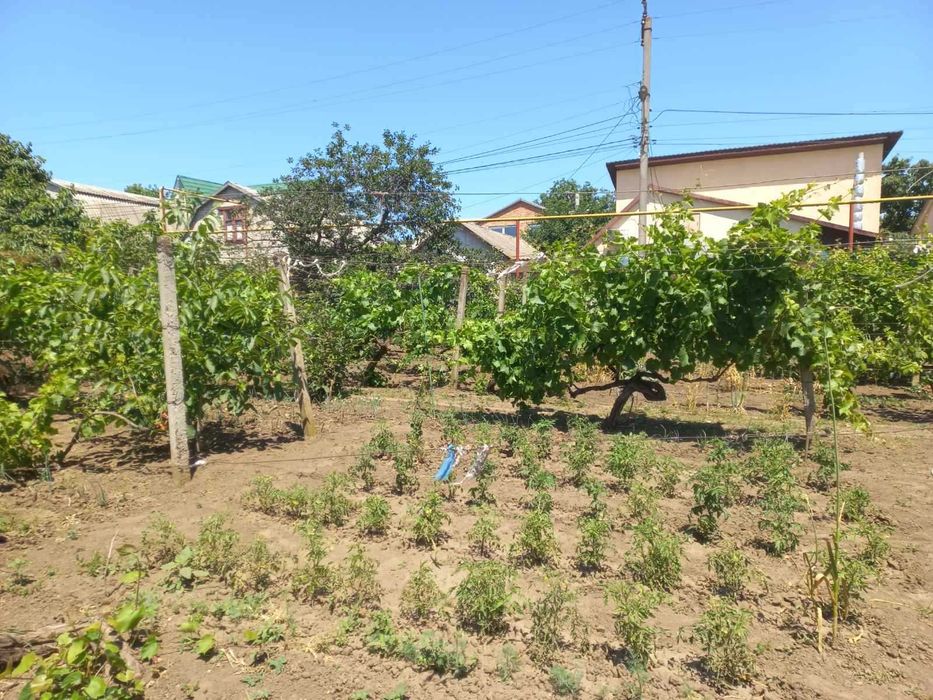 Продам Участок в Крыжановке
морская сторона