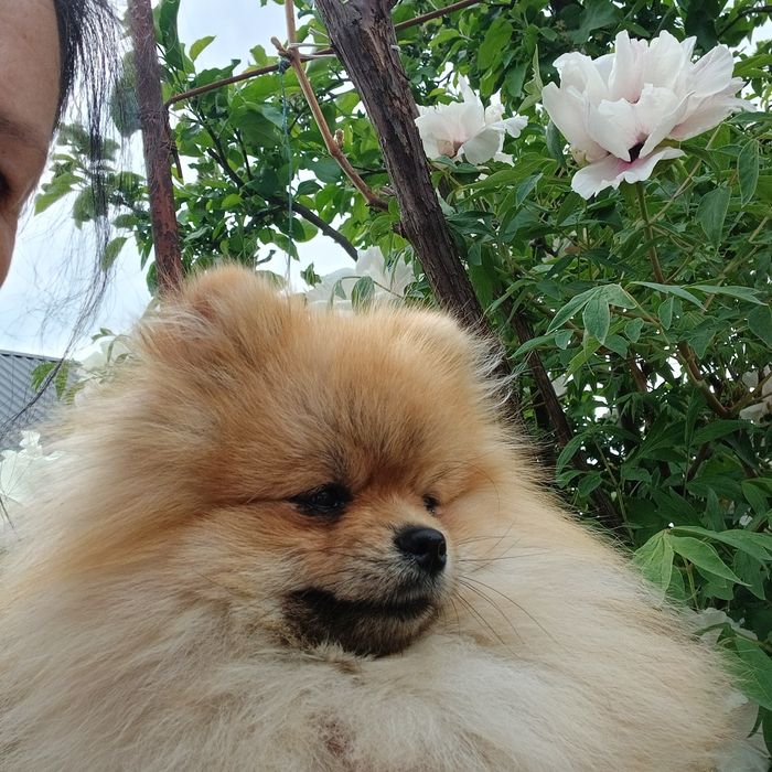 Наймиліший хлопчик