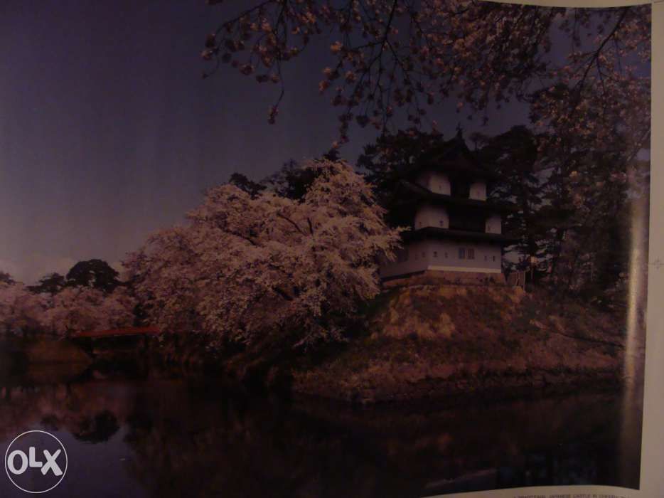 Vendem-se posters antigos, formato A2, diversos