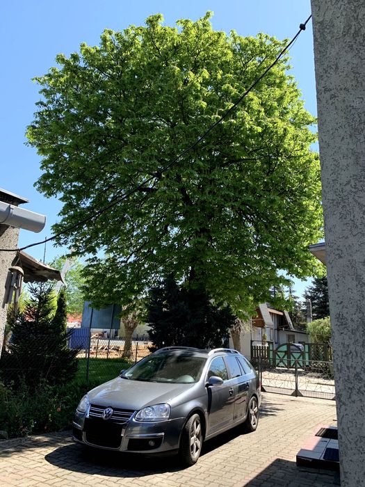 Dom z działką w świetnej lokalizacji w Aleksandrowie Kujawskim