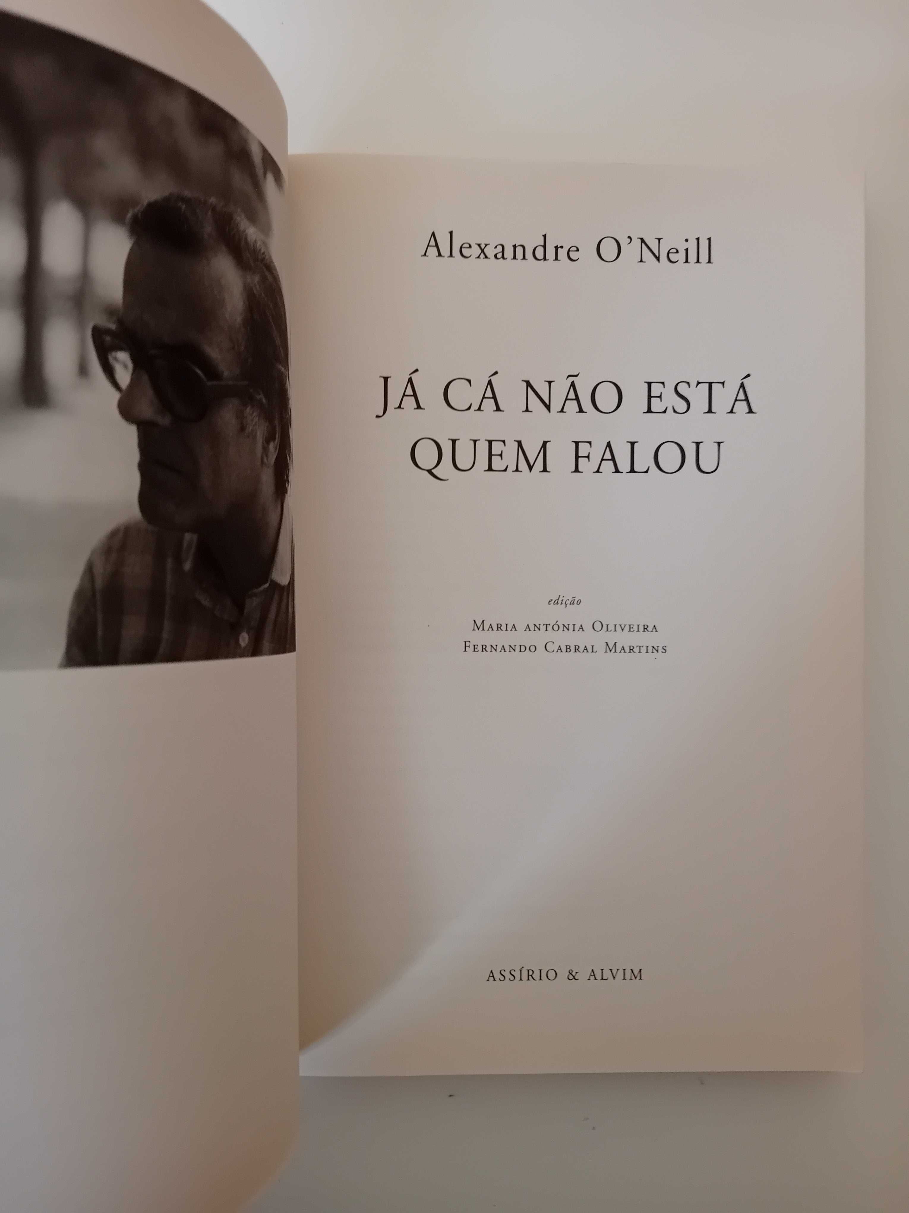Livros  7€ | Abelaira, Mourão-Ferreira, Susana Tamaro, Inês Pedrosa