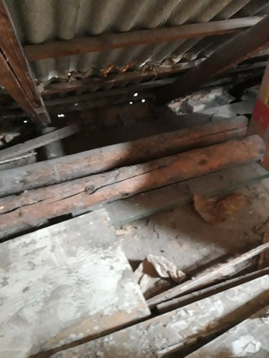 Бревно сосна,2 шт.