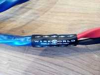 Wireworld OASIS 8 - Kabel głośnikowy - 2x2,5M