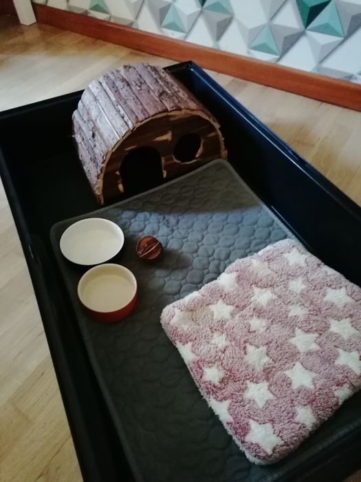 Klatka dla świnki morskiej i akcesoria