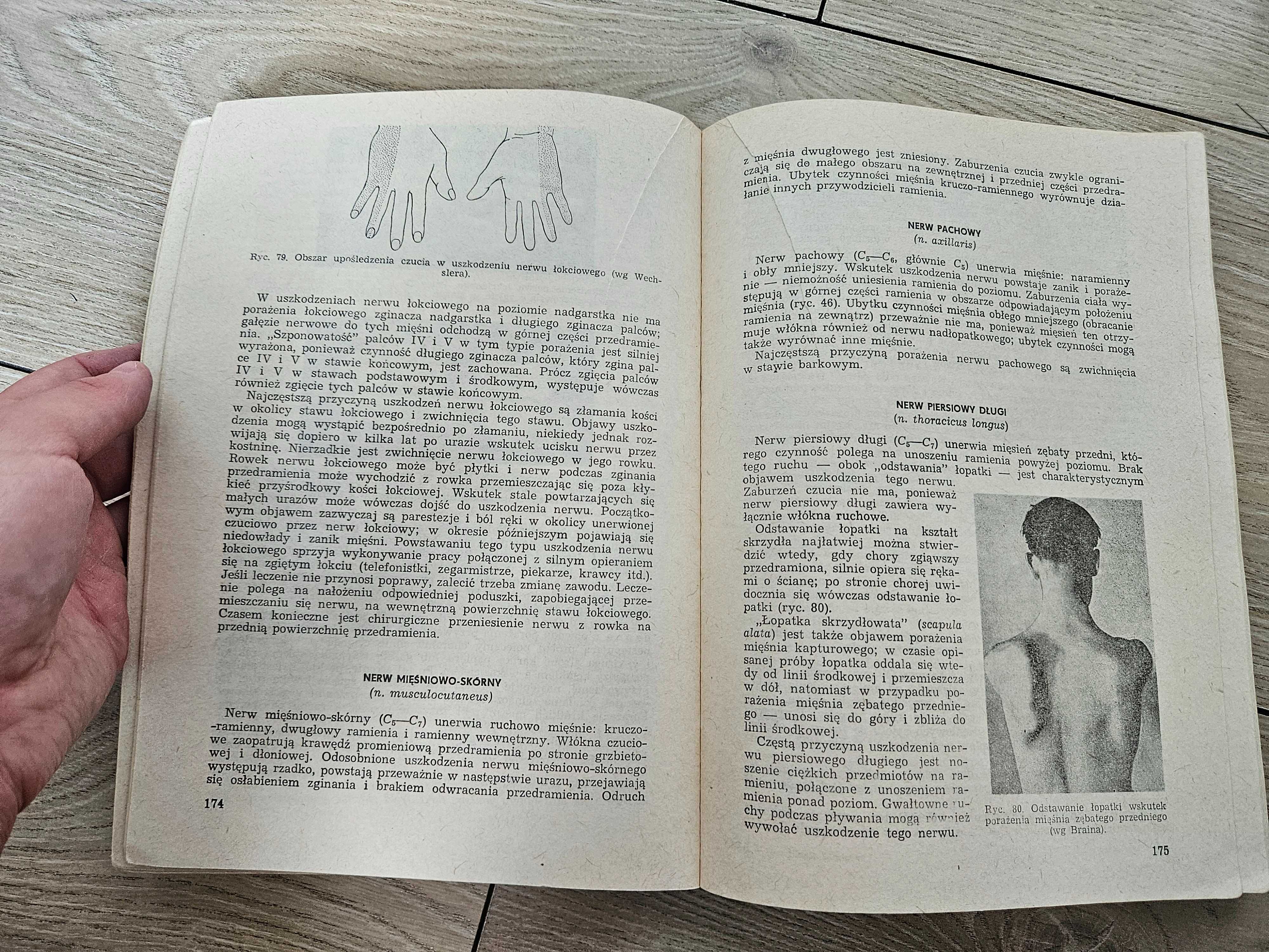 Neurologia kliniczna w zarysie Jakimowicz