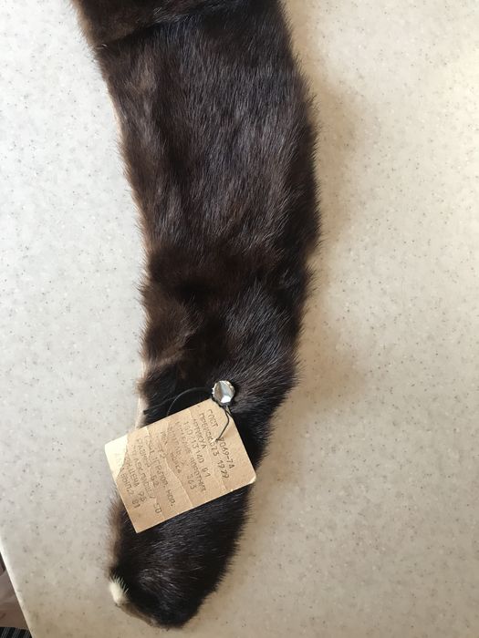 Воротник из натуральной норки.новый.73 сантиметра.