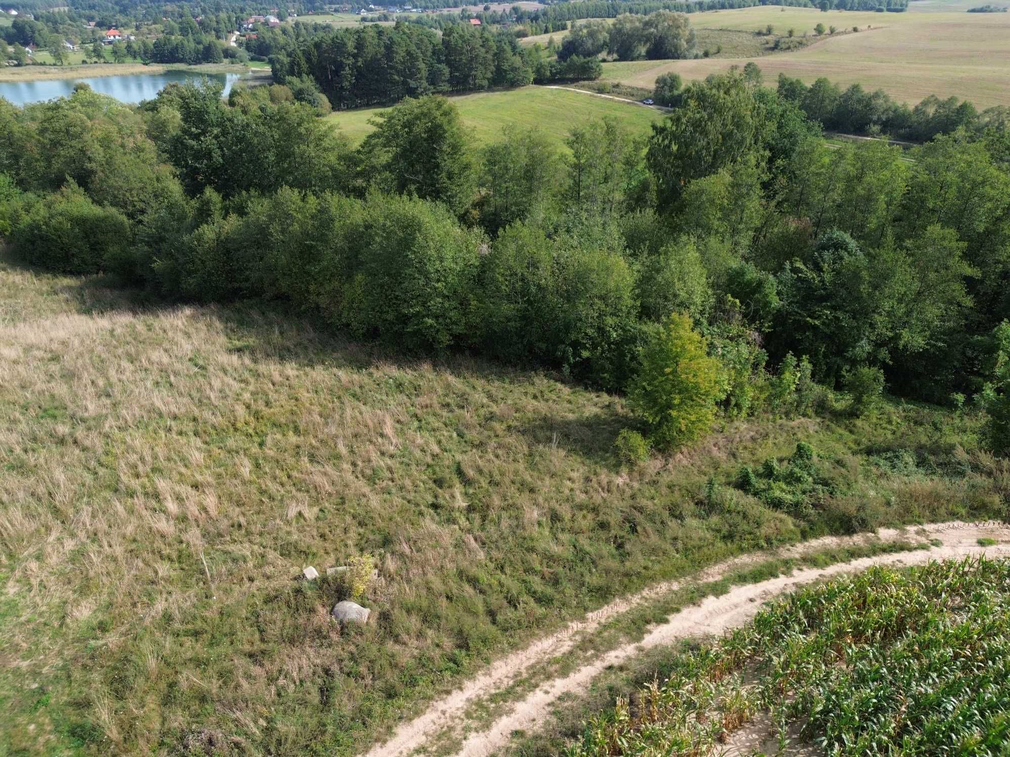 Działka z linią brzegową na Mazurach