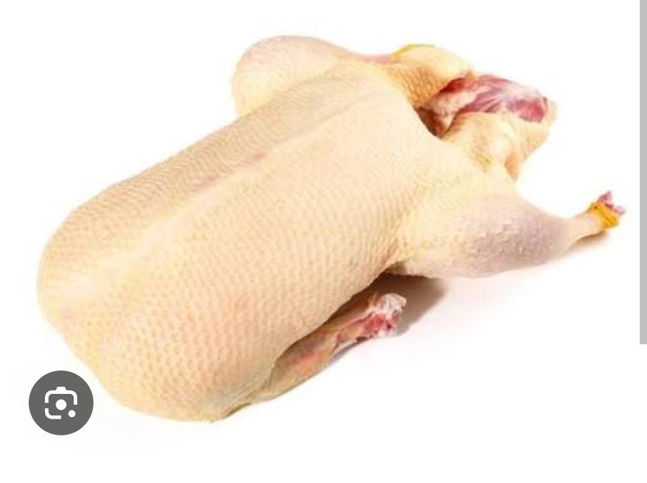 Gęsi,kaczki, brojlery  z własnego gospodarstwa.