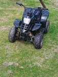 Quad ATV 110 automat