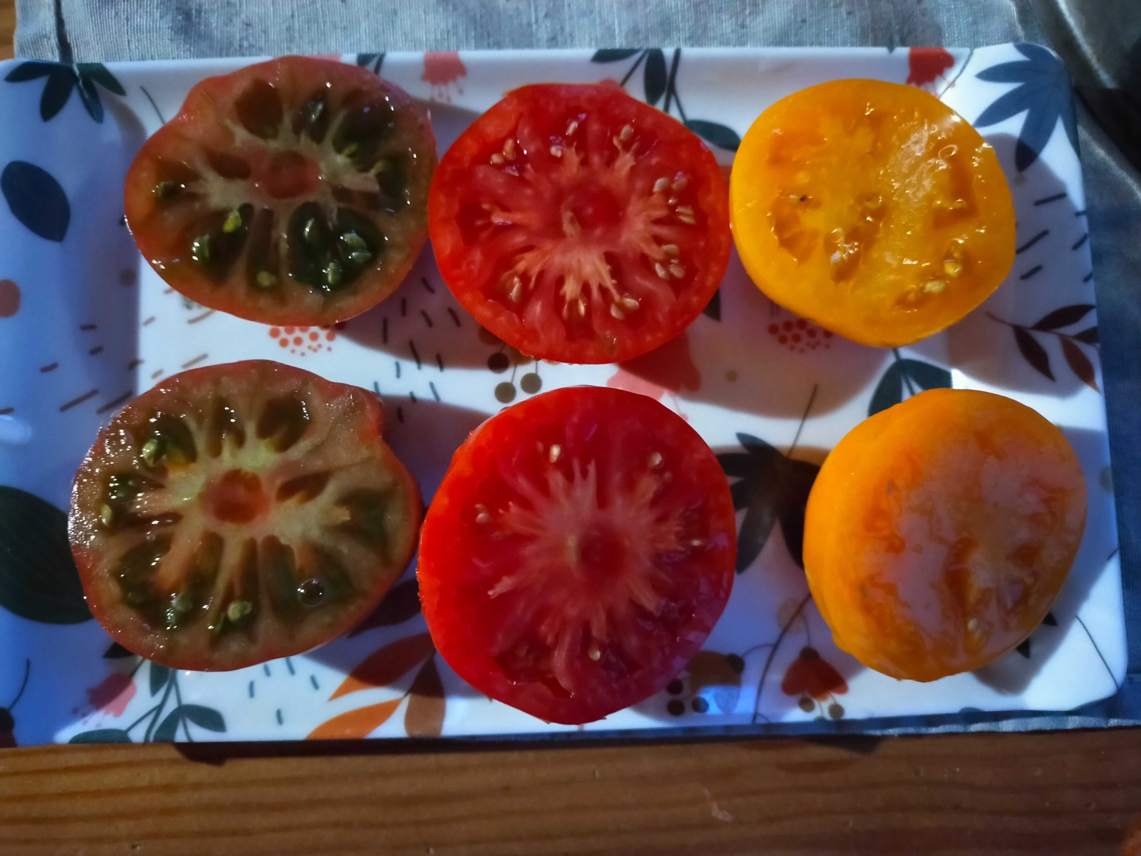 Nasiona kolekcjonerskie pomidorów