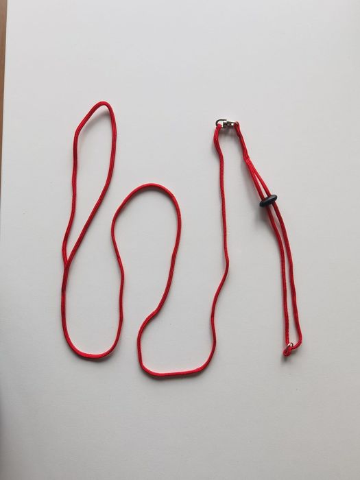 Arnês para roedores