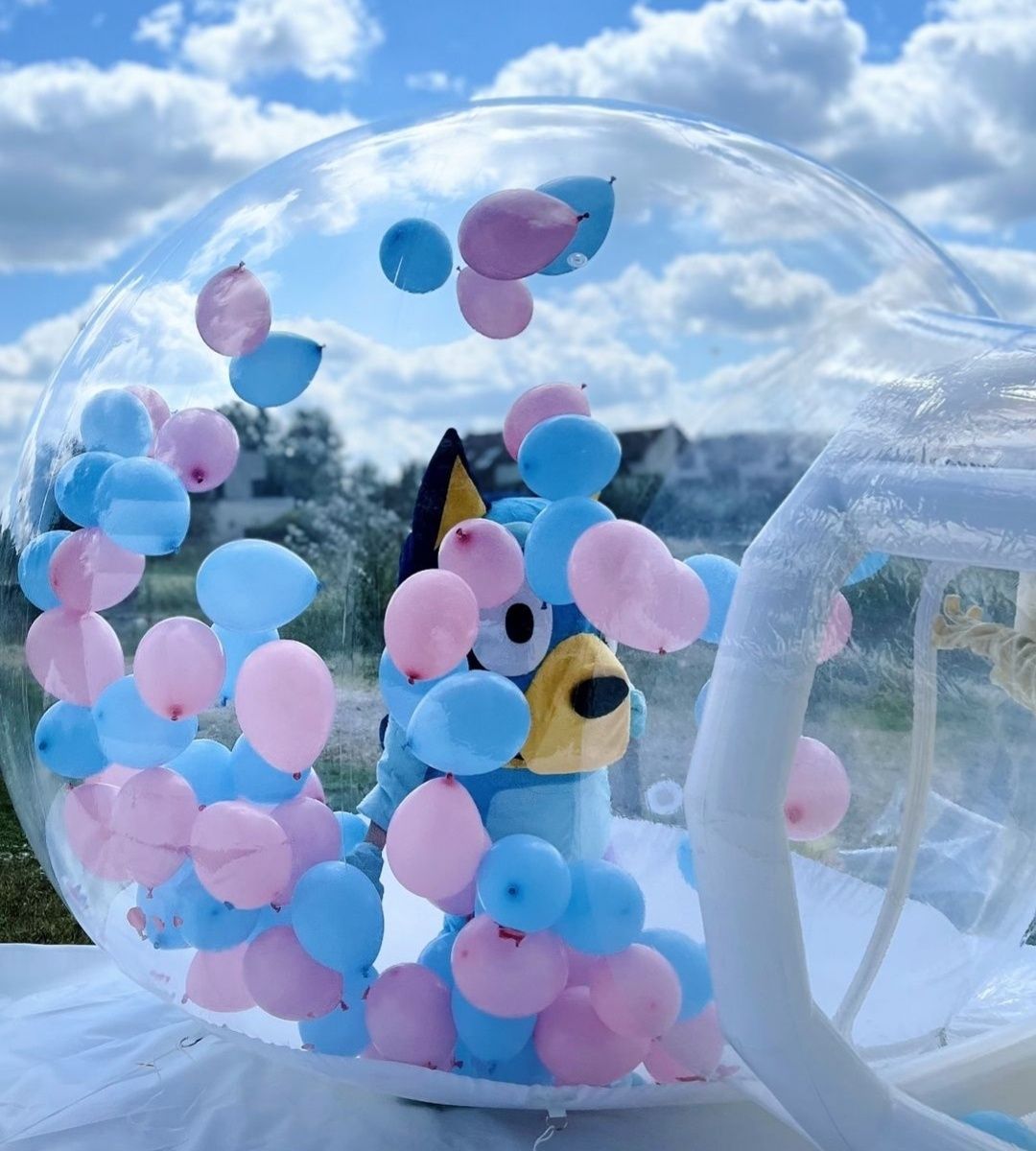 Wynajem Bubble house