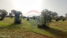 Terreno  para venda