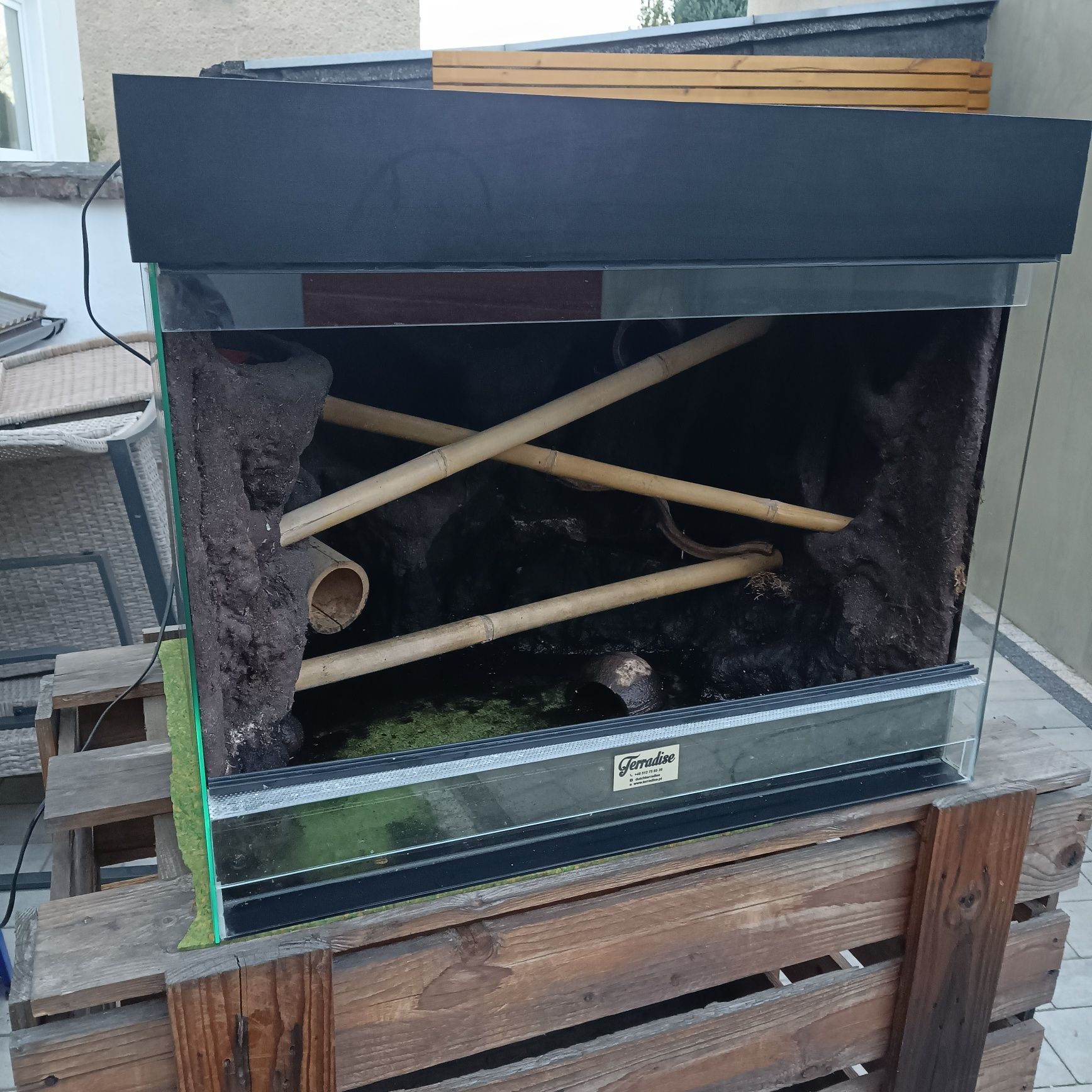 Terrarium wiwarium z podstawa Terradise pyton zielony