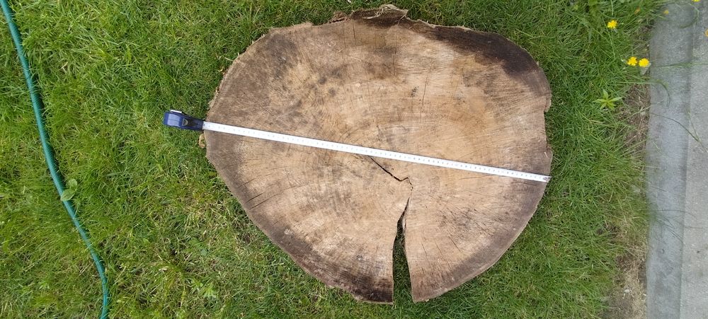 Plaster drewna. Duuzy.