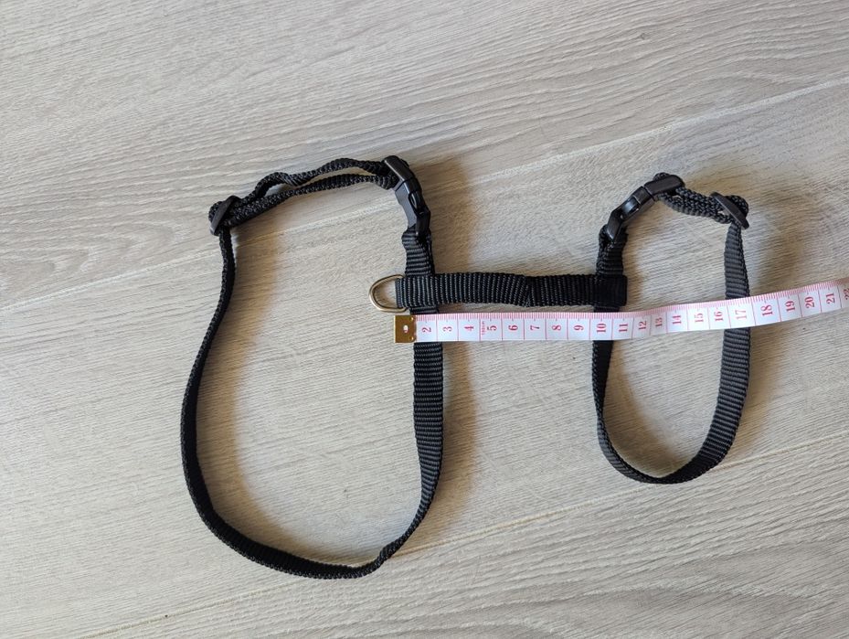 Szelki dla kota Trixie XL bez smyczy