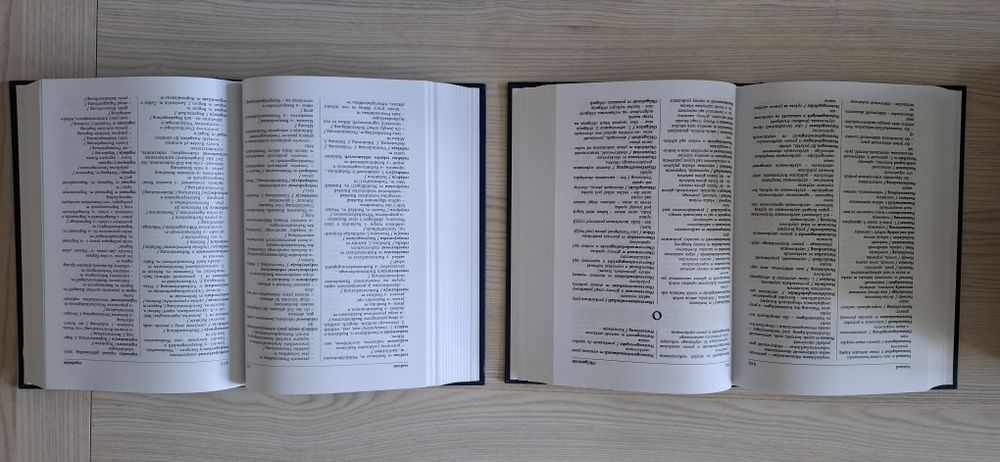 Słowniki prawniczo handlowe Polsko Niemiecki i Niemiecko Polski