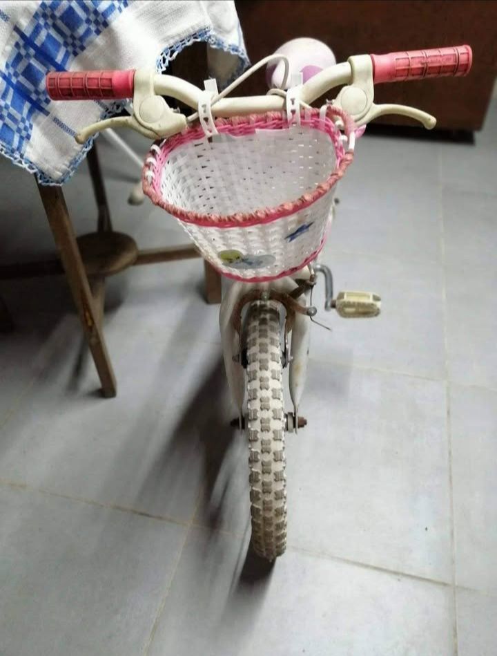 Bicicleta de Menina