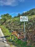 Trek Checkpoint SL5 Gen 2 tam 54