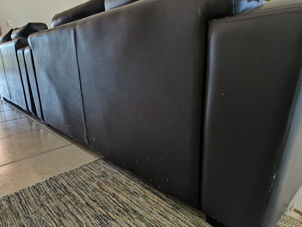 Dois sofas castanho chocolate