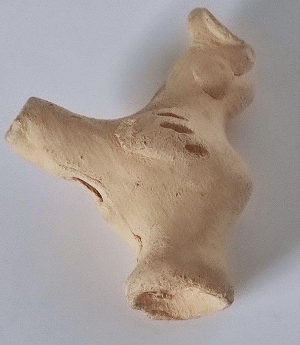 Петушок рибка  ракушка амулет