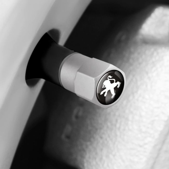 4x Pipos Inox Peugeot |Tampas Válvulas Pneu Acessórios Carros Carrinha