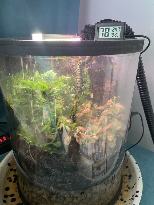 Terrarium tuba bio aktywne 30/20