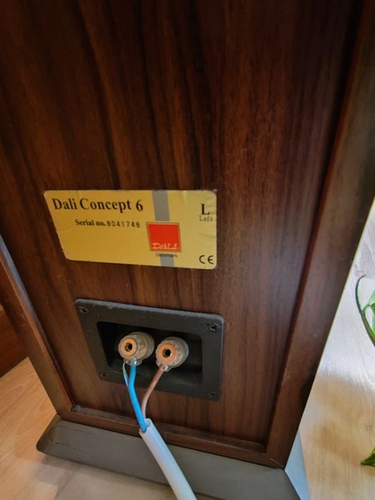 Kolumny głośnikowe - Dali Concept 6