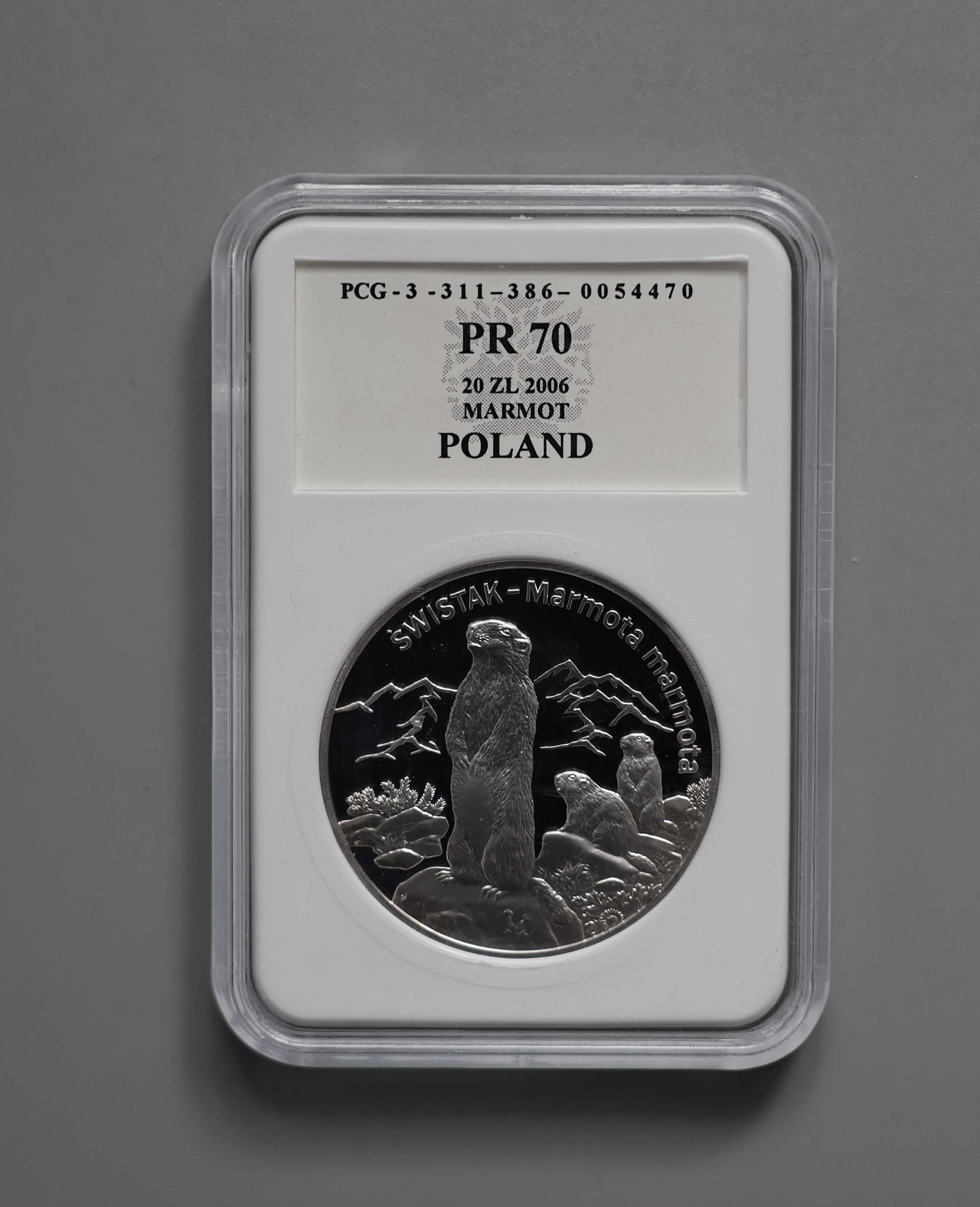 20 zł Świstak 2006 PR70