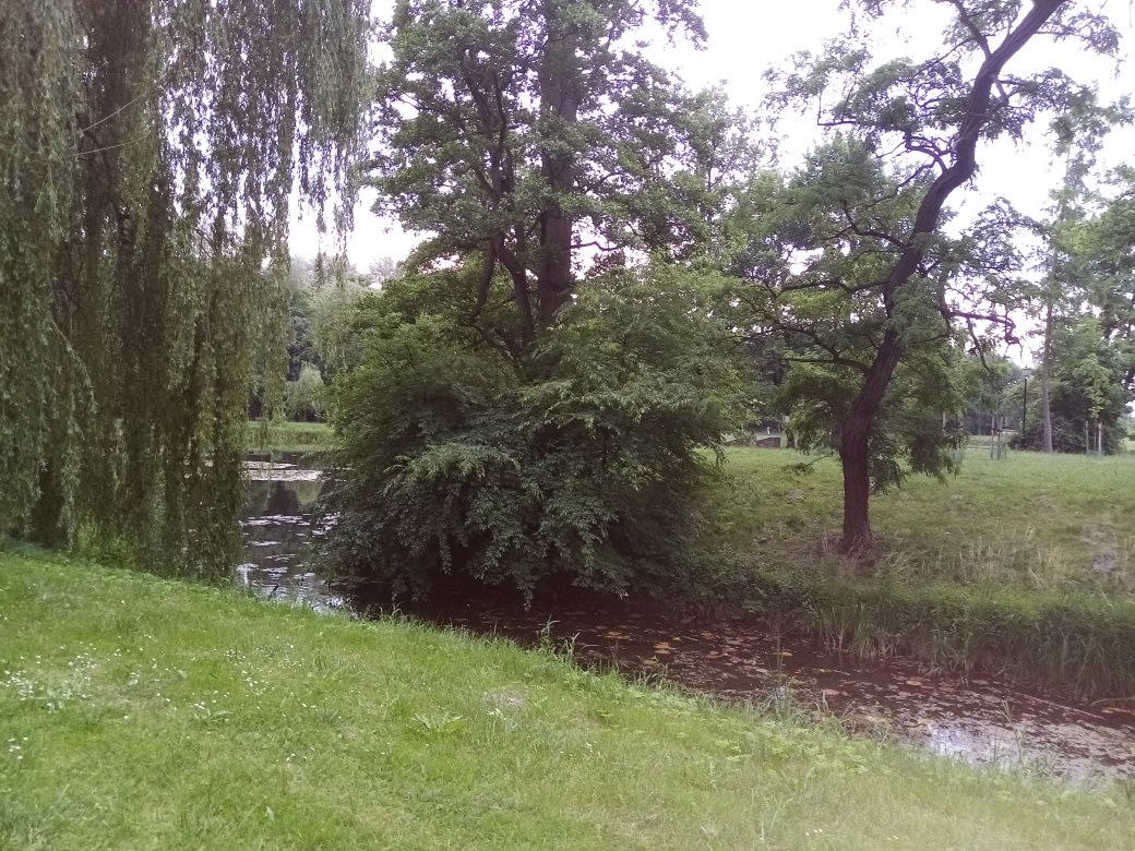 Wynajmę apartament i pokoje w okolicach Trojanowa