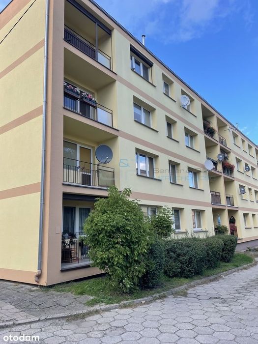 Ustawna Kawalerka w Centrum Miasta, Polecam!