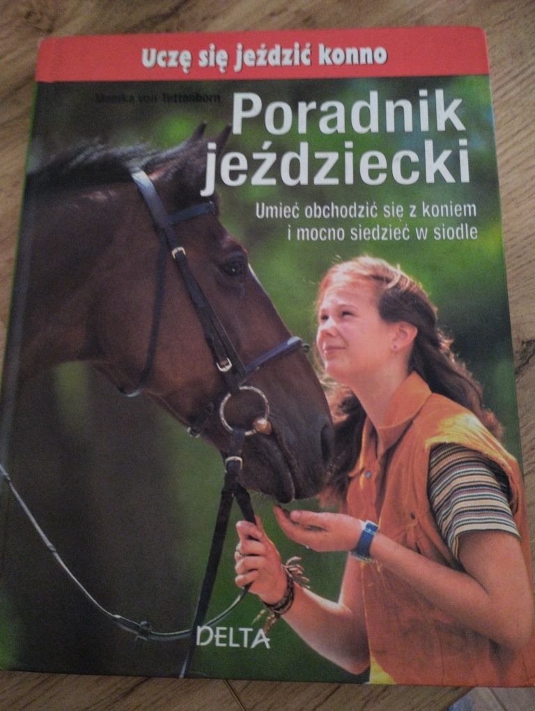 Poradnik jeździecki dla początkujących