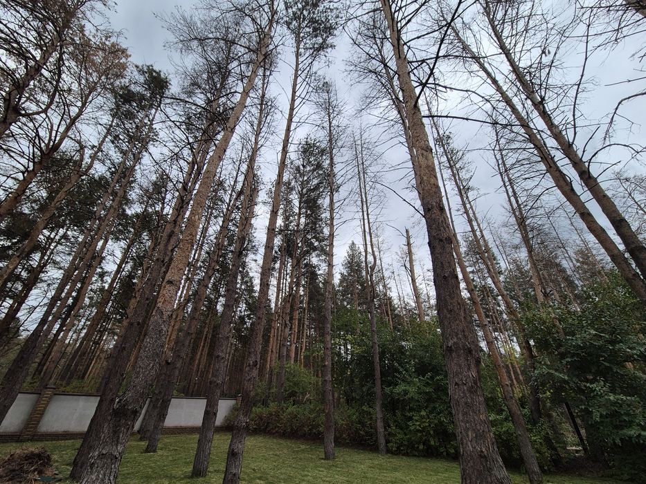 Продам шикарный дом в лесу! Обуховка! Серебряный Бор! 30 соток!