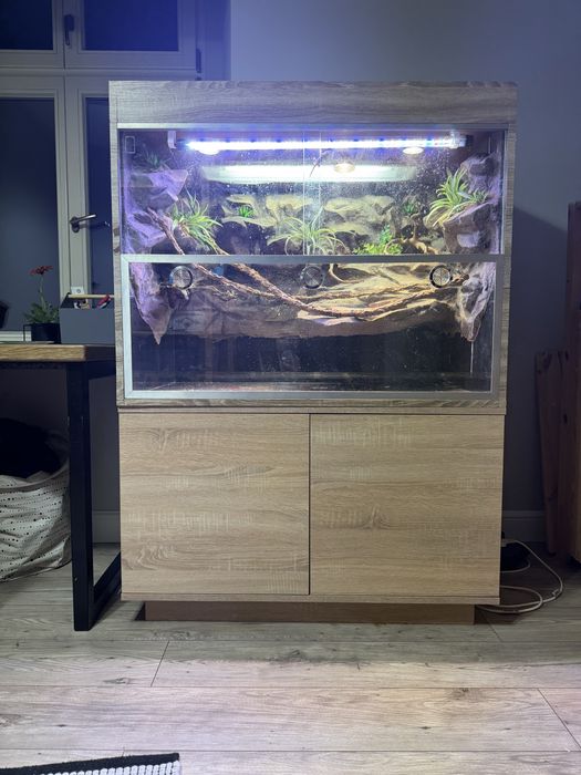 Aquaterrarium gekon, felsuma, rybki