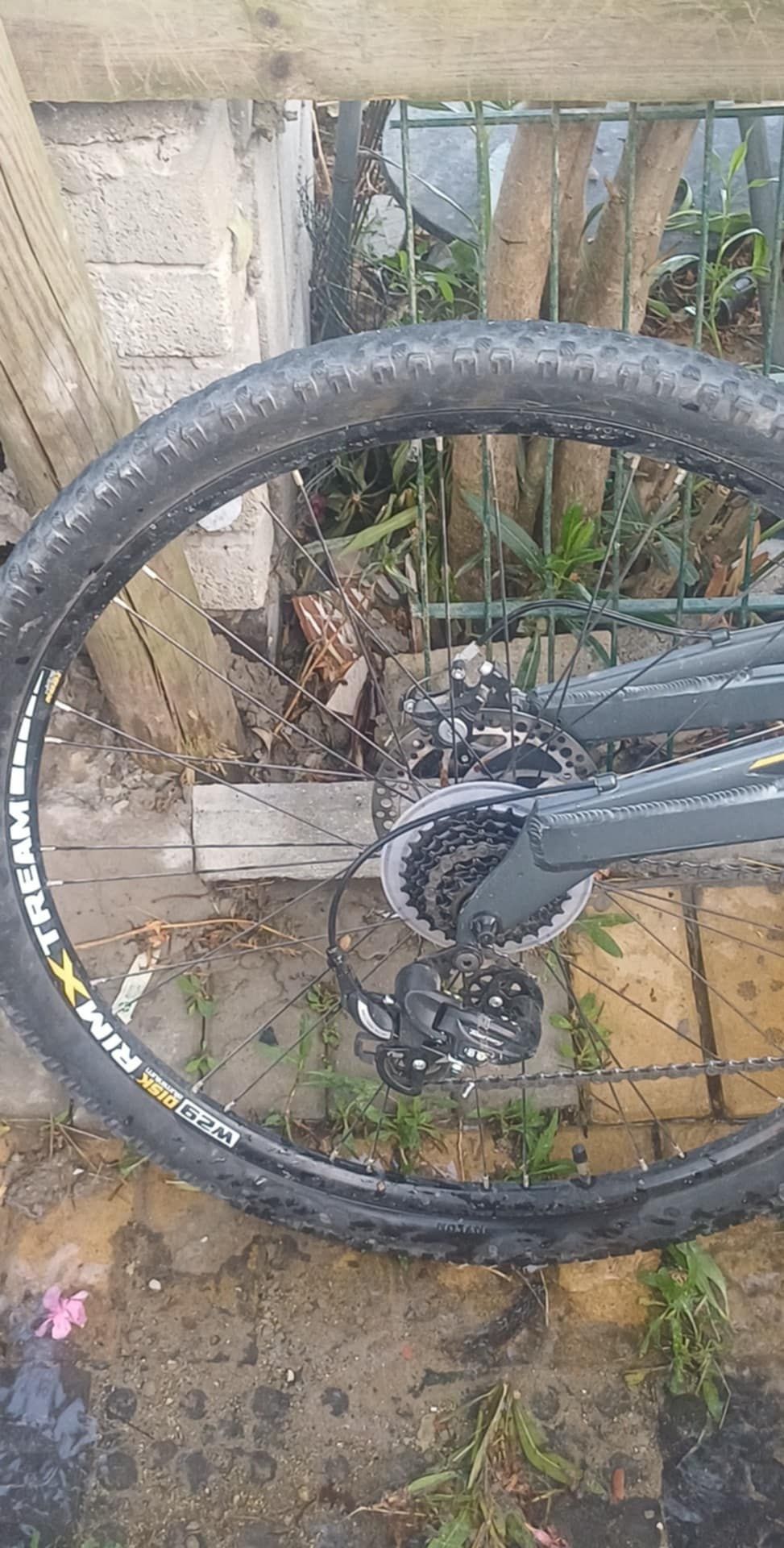 Vendo bicicleta moma com nova