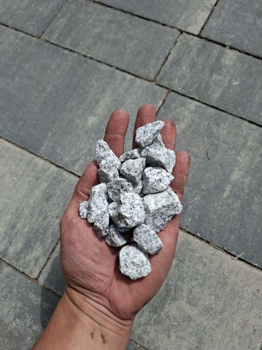 Kamień Granit Grys ogrodowy Dalmatynczyk luz-worki TRANSPORT