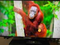 TV Philips 40" LED SMART YouTube, polecam