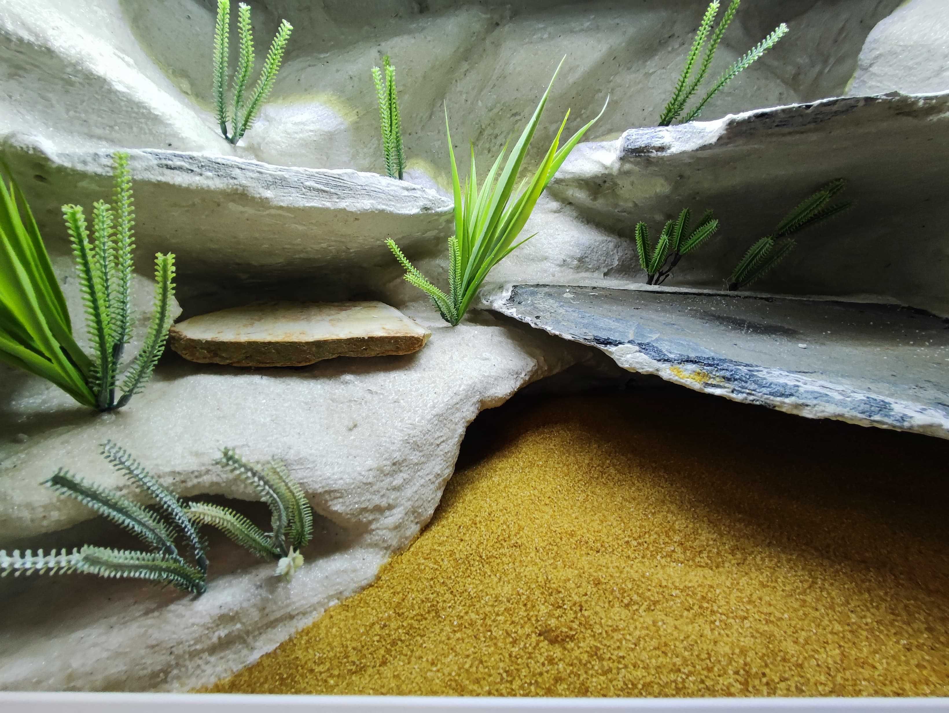 Terrarium pustynne nr686 60/40/40 dla gekona lamparciego DOSTĘPNE