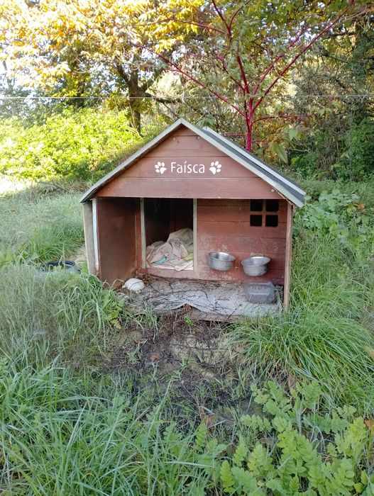 Casota para cão - bom estado