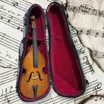 Mini violoncelo.